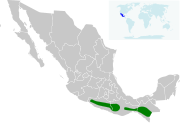 Amazilia viridifrons map2.svg