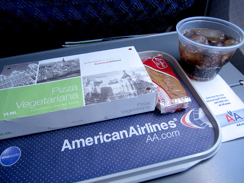 american airlines food carry on