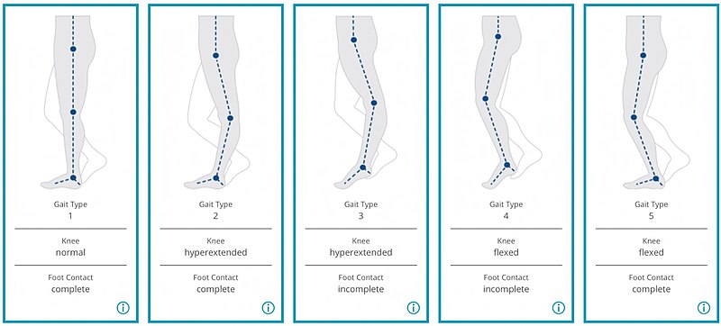 File:Amsterdam Gait Classification GB.jpg