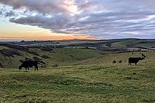 View from Beeding Hill over Anchor Bottom towards Lancing