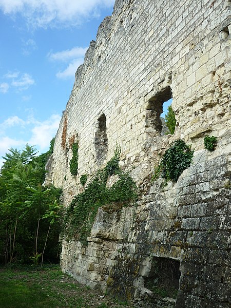 File:Ancien château de Montrichard - Murailles.jpg