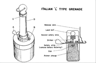 Type L grenade Type of Anti-tank grenade