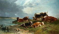 牧草地の牛