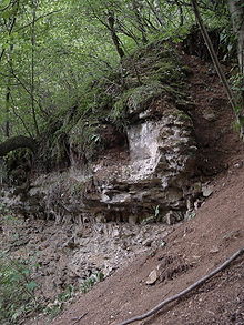 Vestiges de l'aqueduc romain à Couzon-au-Mont-d'Or.