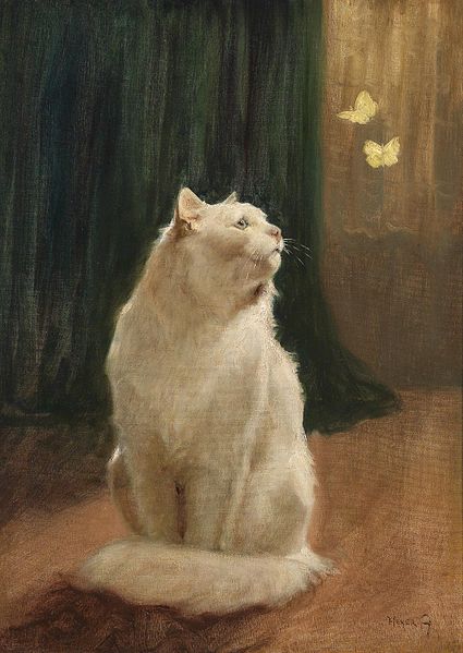 File:Arthur Heyer Weiße Katze und zwei Zitronenfalter.jpg
