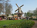 Mølle i Keukenhof