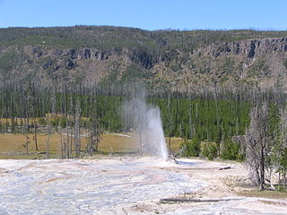 <span class="mw-page-title-main">Atomizer Geyser</span>