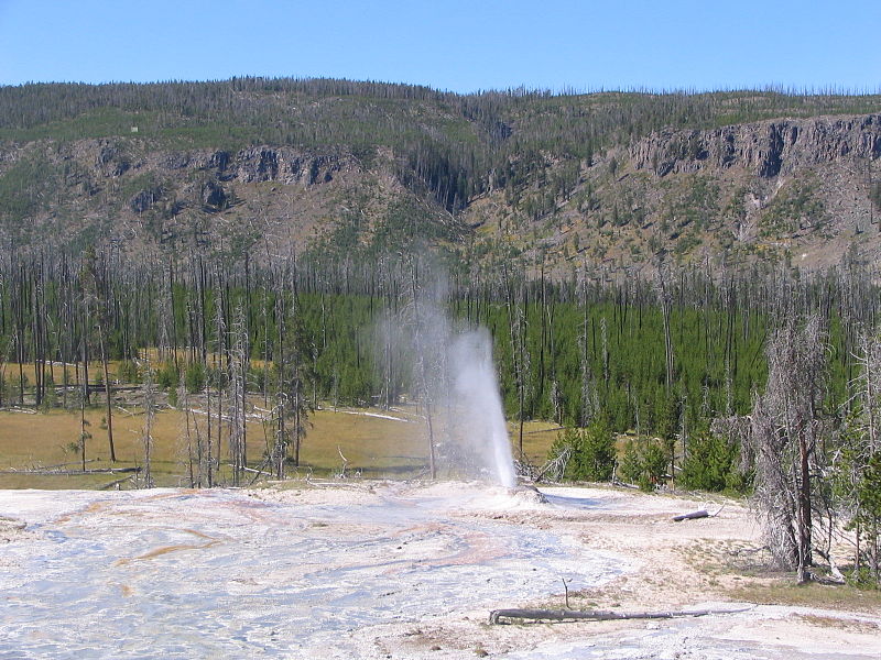 File:Atomizer Geyser (Yellowstone NP).jpg