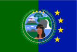Atures Municipality Flag.png