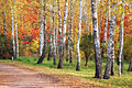 Autumn in Peremoga Park Cherkasy 01.jpg