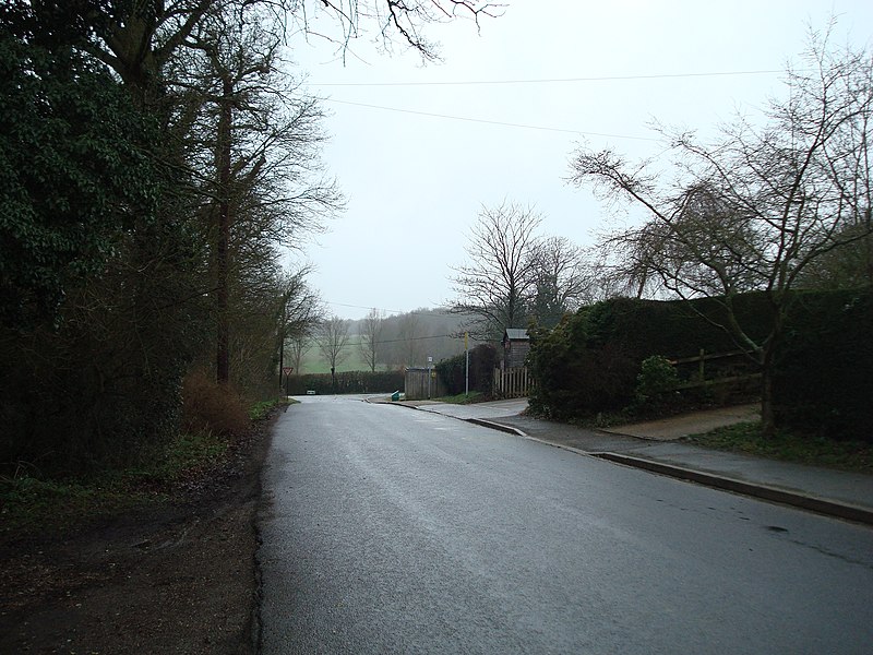 File:Back Lane, Shipbourne - geograph.org.uk - 1763116.jpg