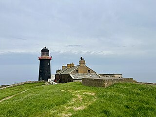 <span class="mw-page-title-main">Ballycotton Lighthouse</span> A lighthouse in Ireland