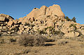 * Nomination Barker Dam, Joshua Tree National Park. --King of Hearts 05:39, 28 May 2015 (UTC) * Promotion  Support Good quality. --C messier 07:27, 28 May 2015 (UTC)