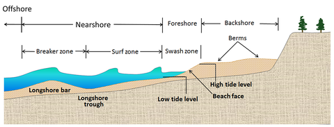 A berm is a nearly horizontal portion that stays dry except during extremely high tides and storms. The swash zone is alternately covered and exposed by wave run-up. The beach face is the sloping section below the berm that is exposed to the swash of the waves. The wrack line (not shown here) is the highest reach of the daily tide where organic and inorganic debris is deposited by wave action. May have sand dunes. Beach zones.png