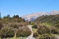 English: A sculpture of a moa at Bealey, New Zealand