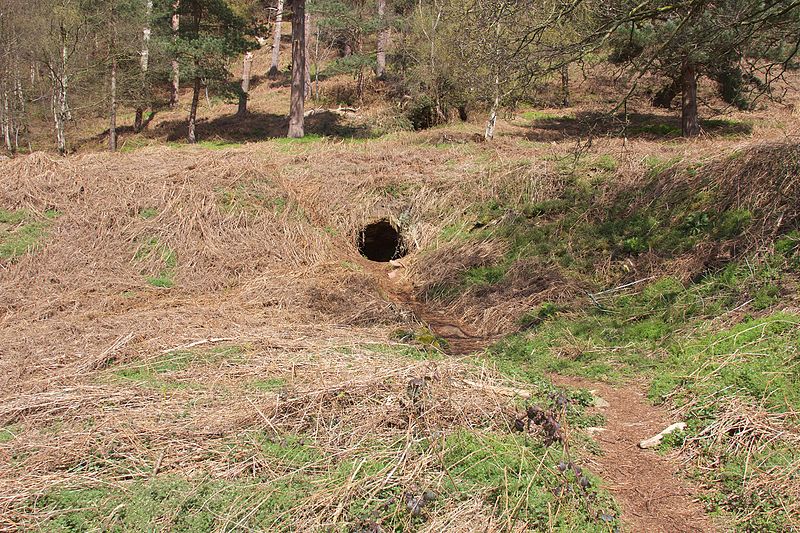 File:Beeston Castle 2016 062.jpg