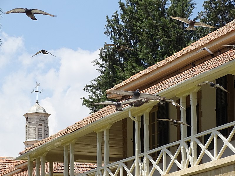 File:Birds in Flight by Facade - Northern Nicosia - Turkish Republic of Northern Cyprus (28188973750).jpg