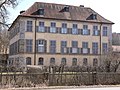 Birkenfeld Castle, castle building