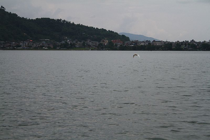 File:Boating through Phewa Lake 04.jpg