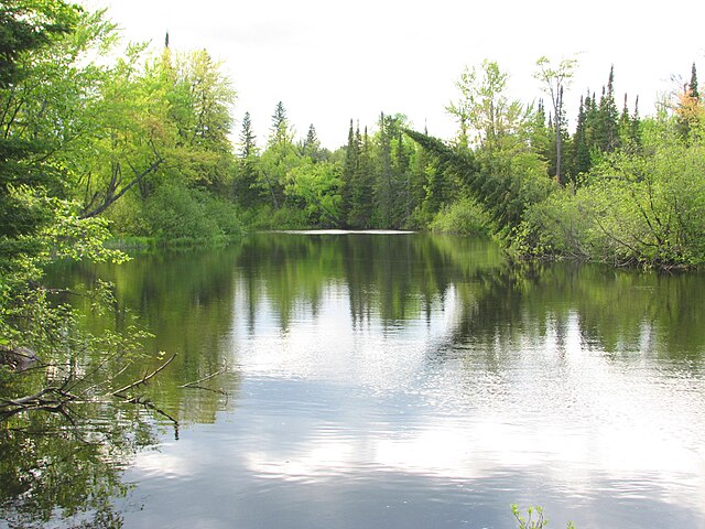 Bonnechere Provincial Park - Wikipedia