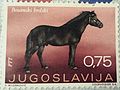 Bosnian pony on stamp of SFR Yugoslavia