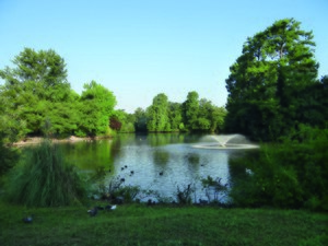 Parc de Bourran