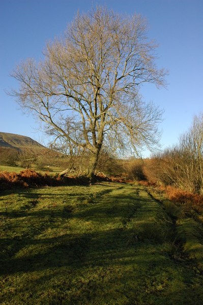 File:Bridleway near Craswall - geograph.org.uk - 1073509.jpg