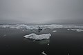 Buiobuione - Artic Scenic view of Greenland icebergs in Baffin Bay in Disko Bay 11.jpg