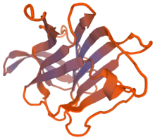 Predicted tertiary structure of DUF667 region of C3orf67. C3orf67 - DUF667.png