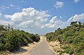 Dunes, Cadzand