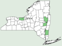 Calendula officinalis NY-dist-map.png