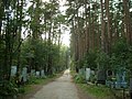 Миниатюра для Широкореченское кладбище