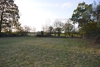 Chettisham Meadow nature reserve in the United Kingdom