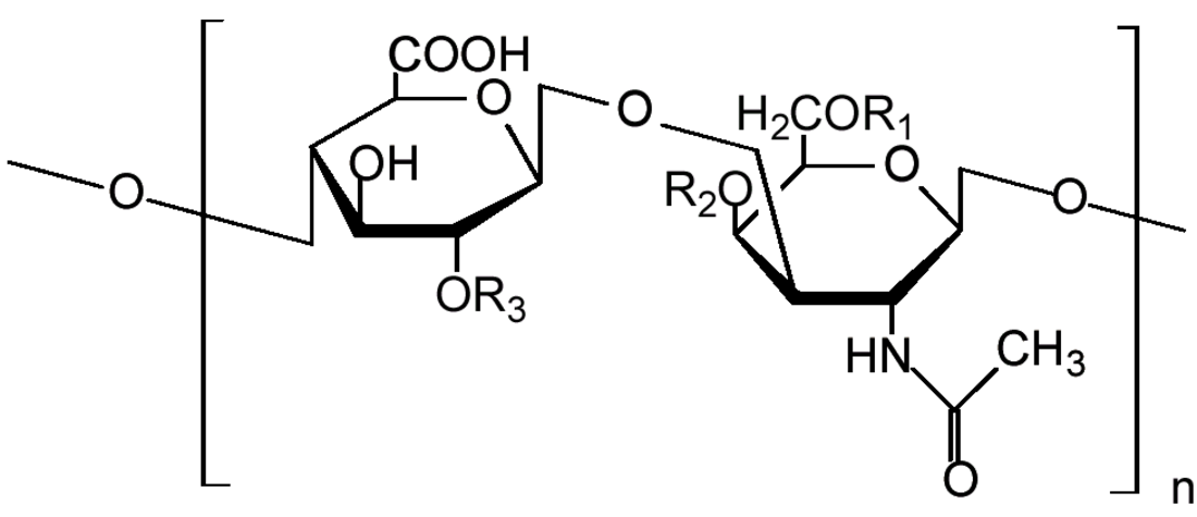 Glykosaminoglykan