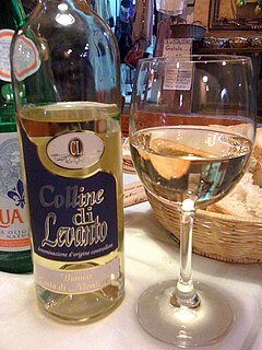 Liguria wine