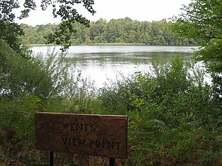 <span class="mw-page-title-main">Cop Mere</span> Protected body of water in Staffordshire, England