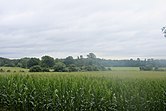 Corn farm in Freehold Twp.jpg