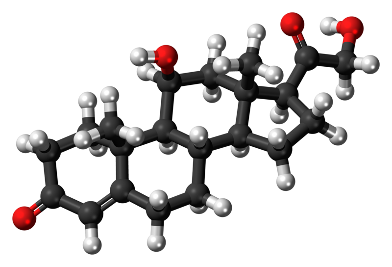 File:Corticosterone-3D-balls.png