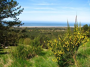 Mont Saint-Frieux