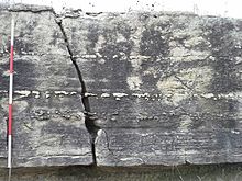 Cottonwood Limestone seen less than a mile east of Tuttle Creek Lake dam on K-113; showing the white to gray weathering and a history of subterranean dissolution along joints, highlighting the more resistant siliceous nodules. Cottonwood Limestone on K-113 Kansas highway, K-113.jpg