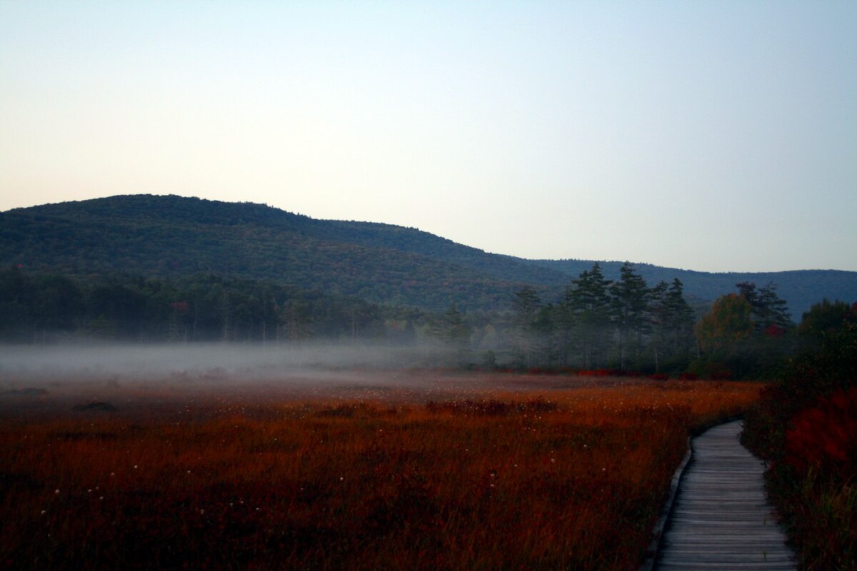 Cranberry Glades Wikipedia