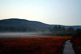 Cranberry Glades, a bog preserve in West Virginia