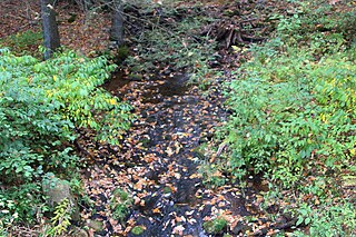 Crooked Run (Catawissa Creek tributary) River