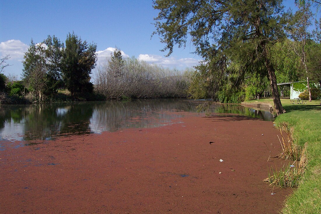 Cudgegong River