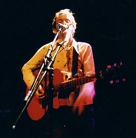 Damien Rice crop.jpg