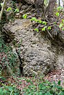 Detmold - 2014-04-06 - Geological outcrop on Schwesternberg (4) .jpg