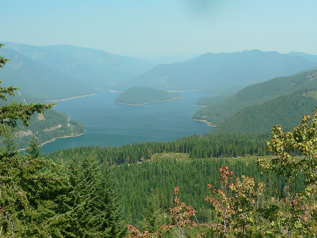 Forêt nationale de Willamette