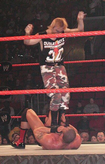 Image: Divingdoublestomp