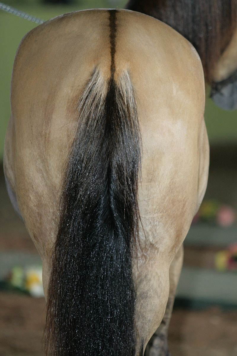 Remove horse hair batting??? : r/upholstery