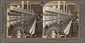 Doubling frame in a large woolen mill, Lawrence, Mass (NYPL b11707518-G90F243 030F).jpg